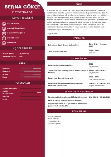 Fizyoterapist Cv Örnekleri cv indir